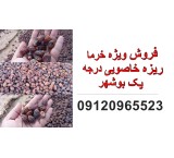 فروش خرما ریزه خاصویی درجه یک بوشهر