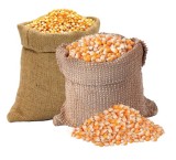 Corn, barley and soybean meal input