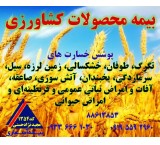 بیمه آسیب به محصولات کشاورزی