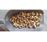 Estahban dried figs