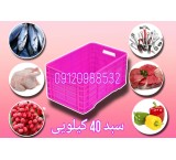 Sale of plastic baskets, 40 kg boxes, chicken and fish baskets in Fars